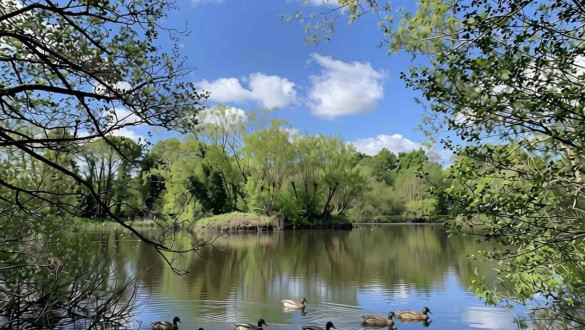Things to do in Berkshire   Sandhurst Memorial Park