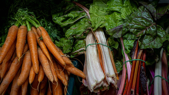 Things to do in Cheltenham   Cheltenham farmers market