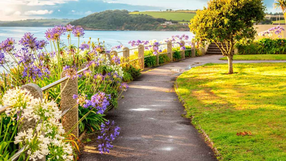 Things to do in Cornwall   Falmouth area coastal paths