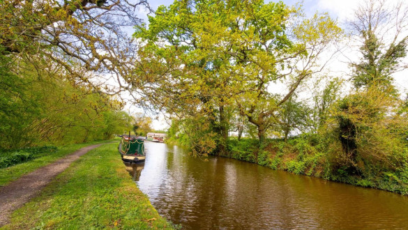 Things to do in Staffordshire   Fradley Junction and Fradley Pool