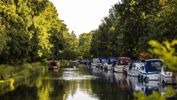 Things to do in Surrey   Wey Navigation, New Haw to Pyrford