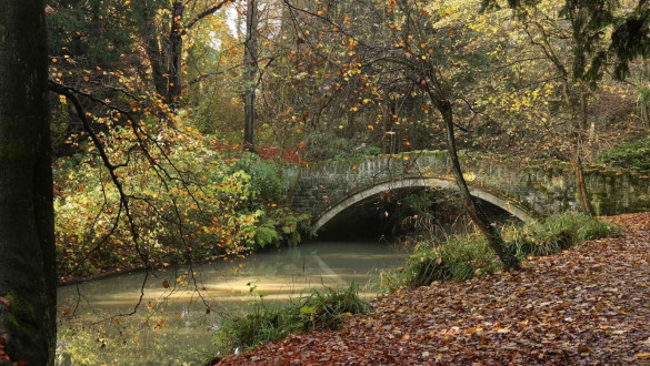 Things to do in Tyne and Wear   Jesmond Dene