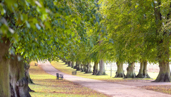 Things to do in the East of England   Rothamsted Park
