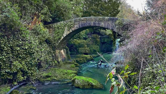 Things to do in the North   Jesmond Dene,