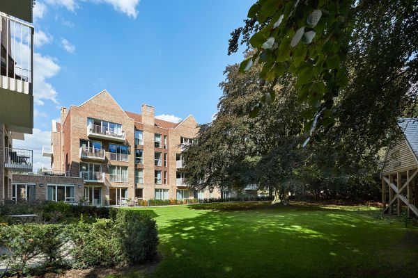 Chapelwood Gardens Highlight