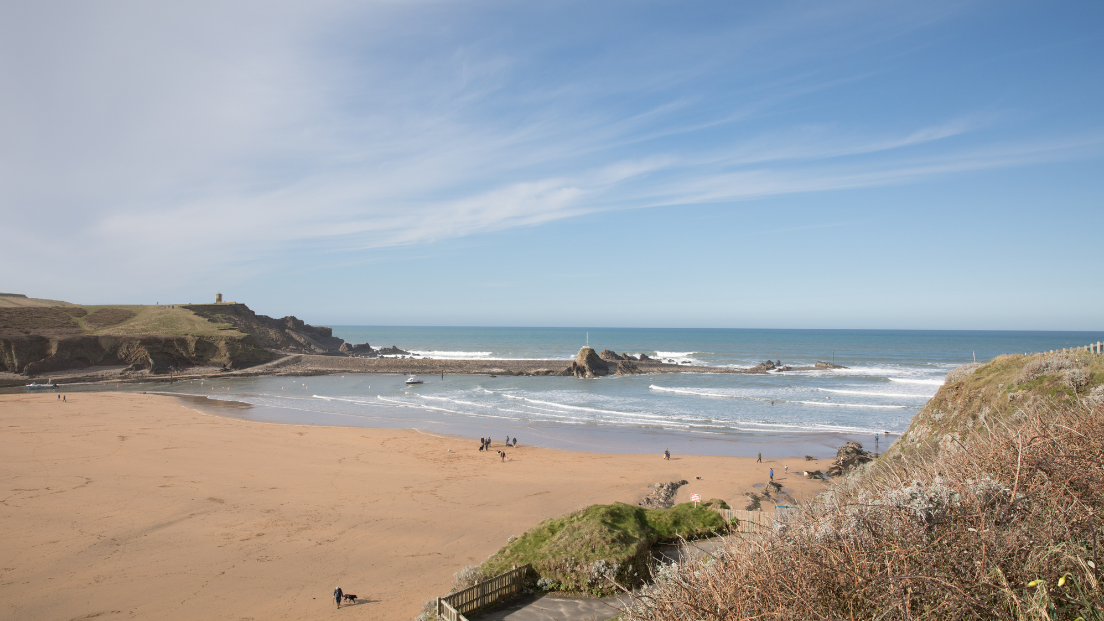 Atlantic Rise Local Area