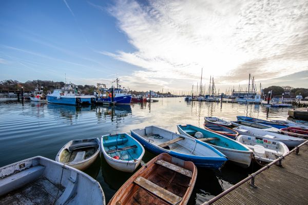 Lymington Gate local photography 2