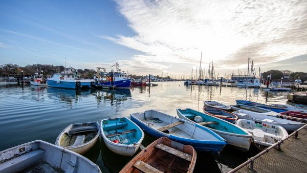Lymington Gate local photography 2