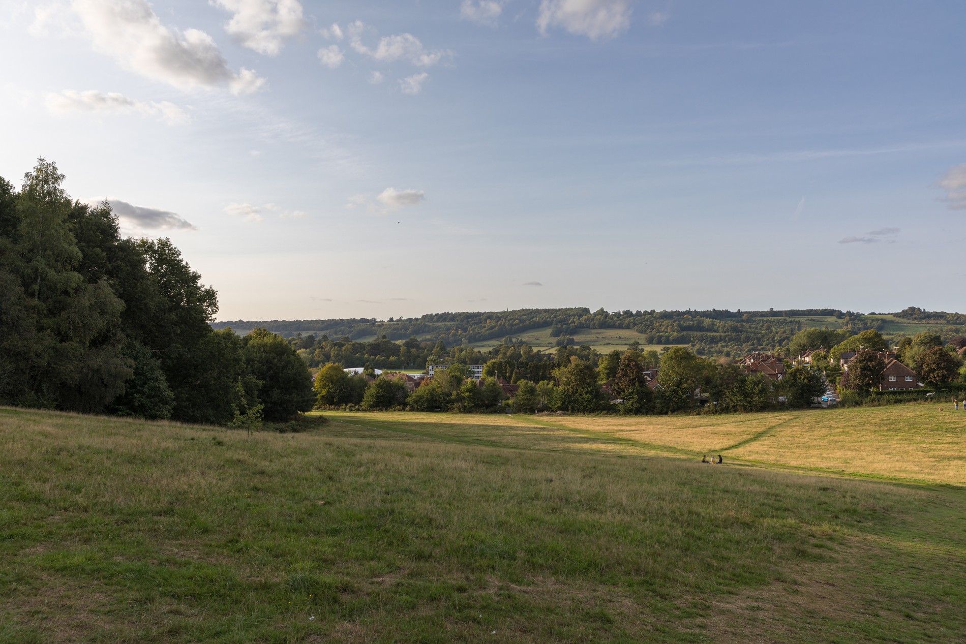 vb1877536 Dorking 142 1900x1267