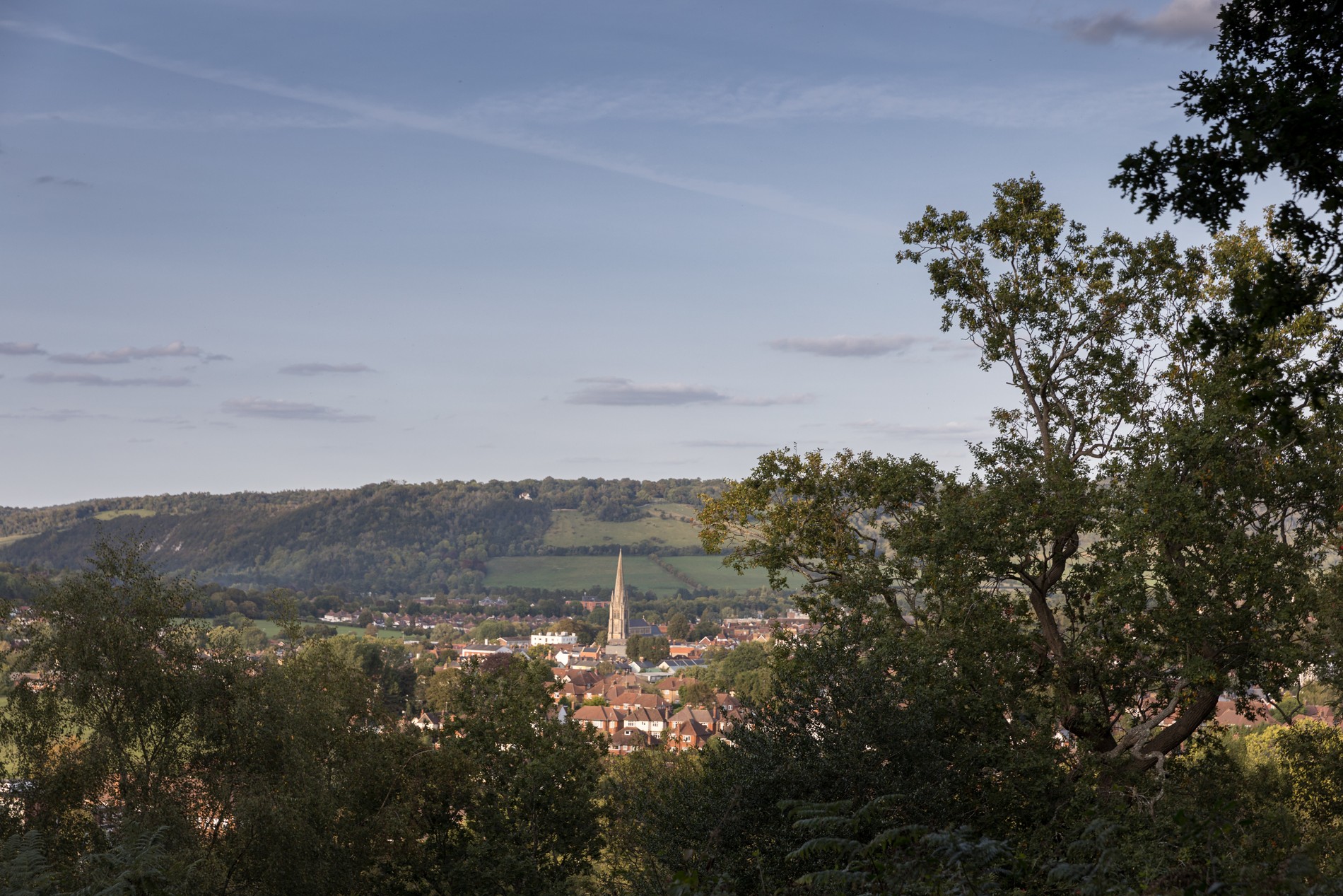 vb1877537 Dorking 144 1900x1267