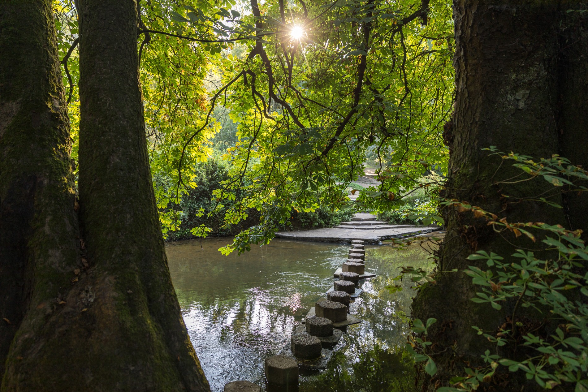 vb1877578 Dorking 174 1900x1267