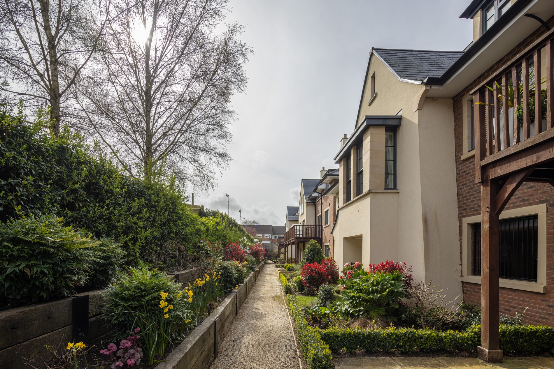 vb5159873 Pegasus Marlborough 012 1900x1267