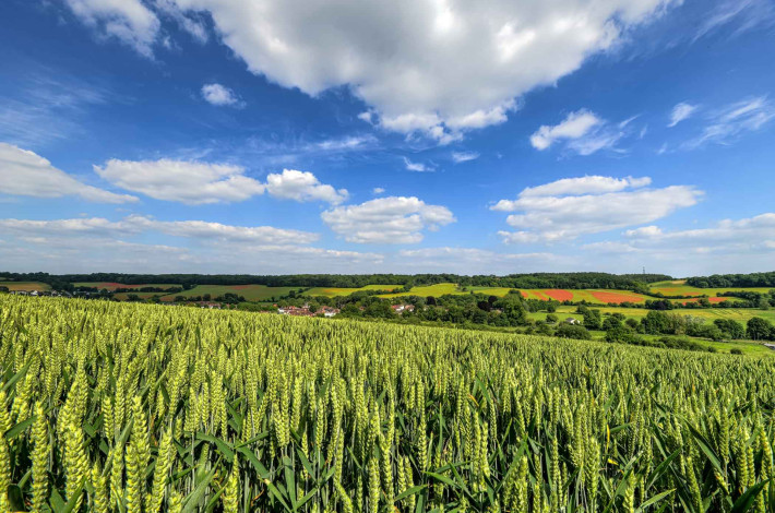 Why retire in Buckinghamshire   Wooburn Park