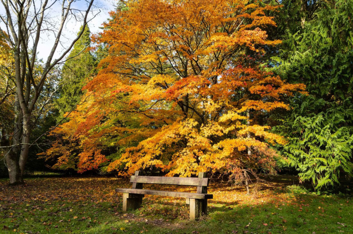 Why retire in Gloucestershire   Westonbirt Arboretum