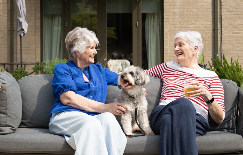 vb5516369  LPP1272 copy 800x510