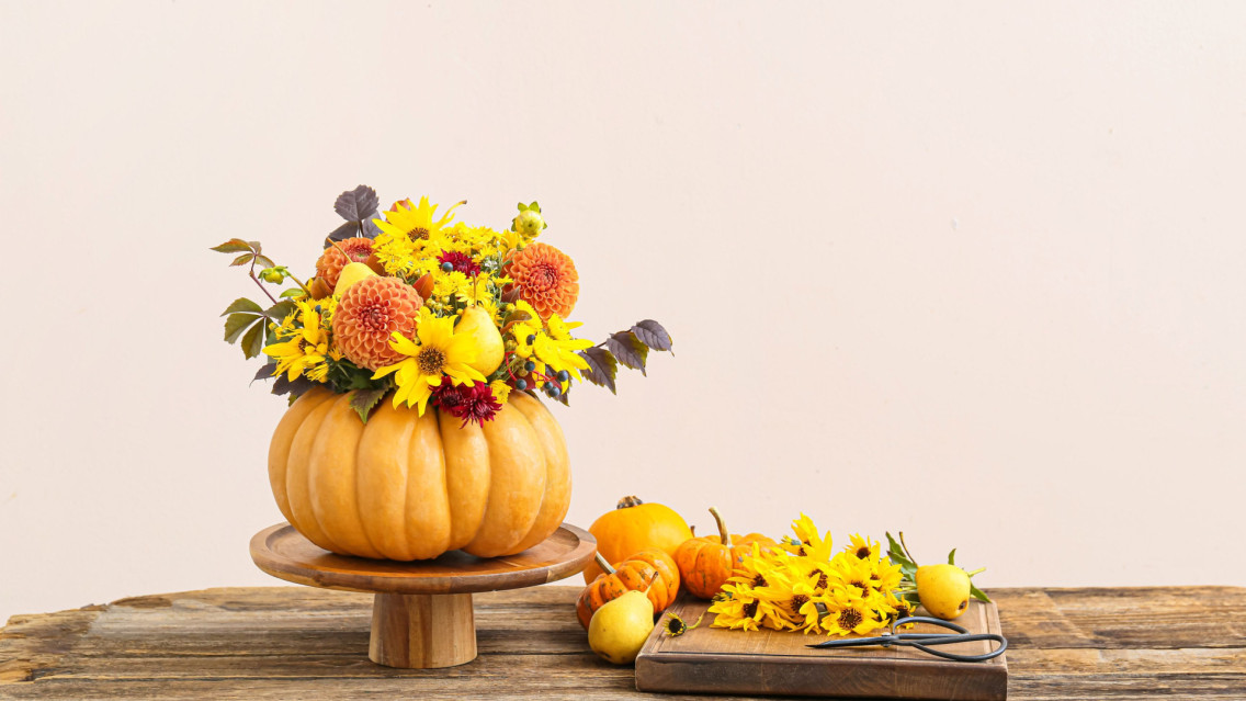 AdobeStock 465685738