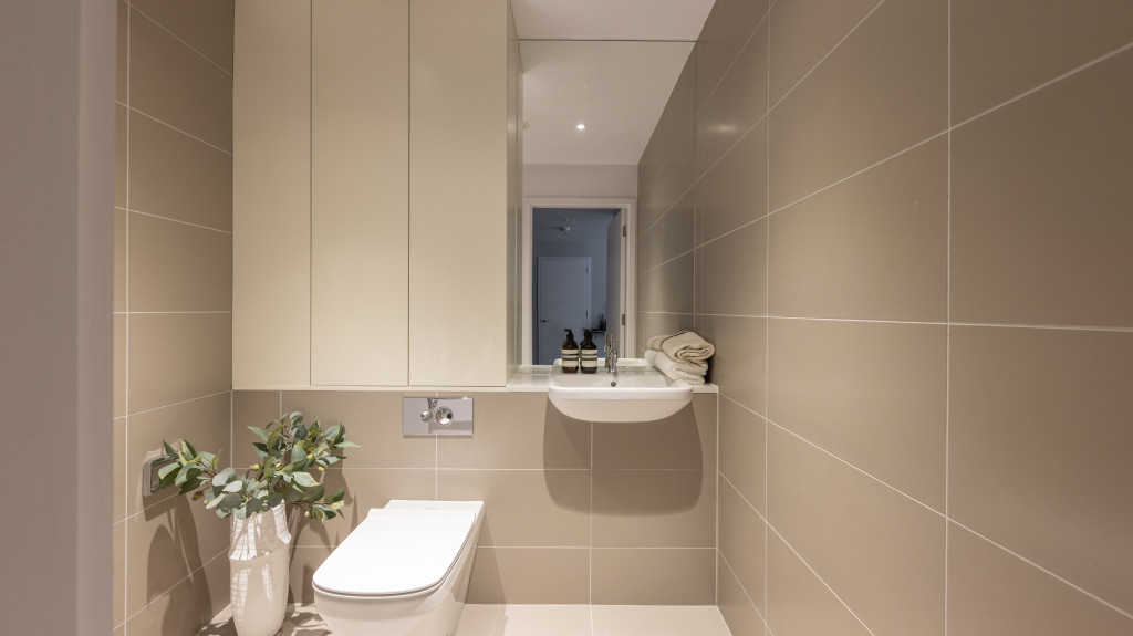 Belle Vue Feb 24 085