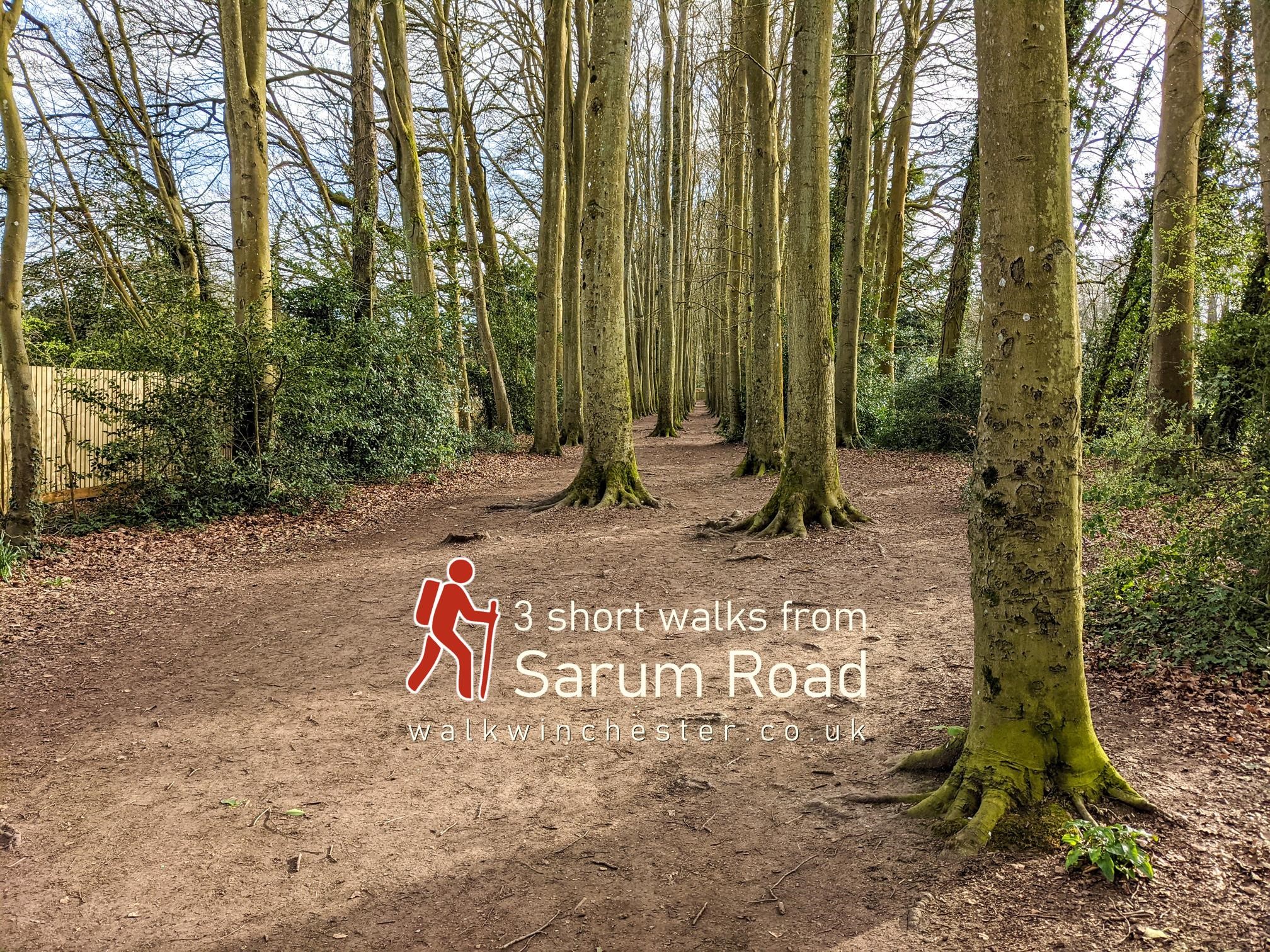 3 walks winchester
