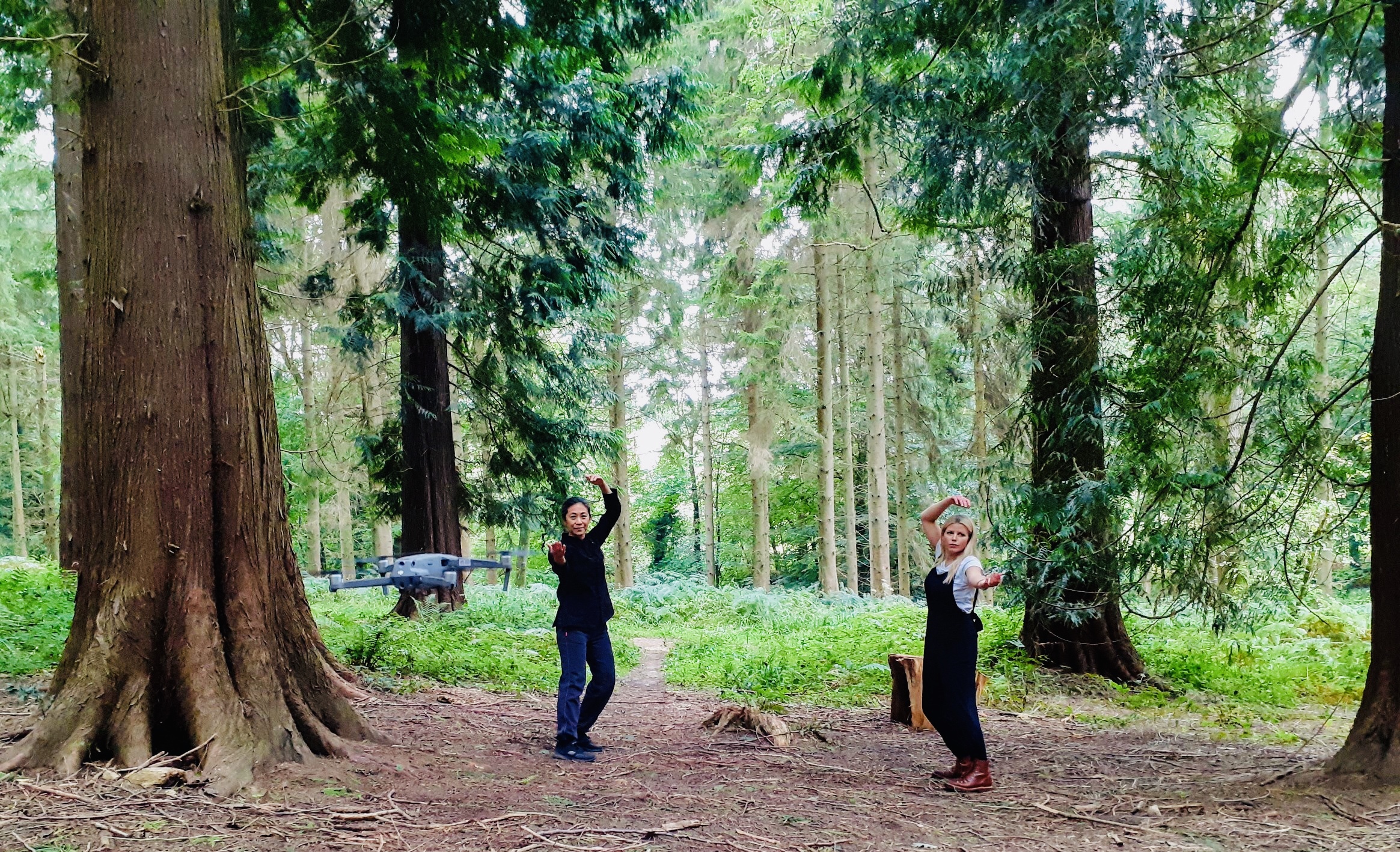 Qigong in Lineover Wood