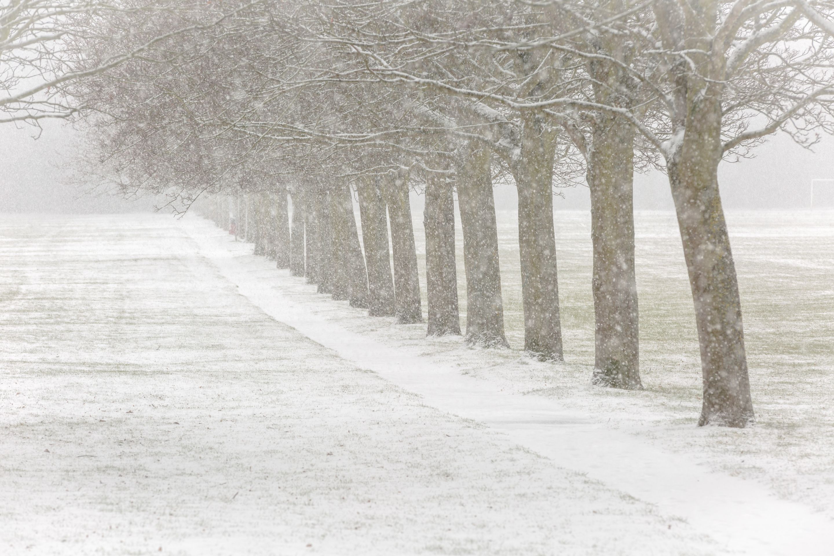 Winter Walks