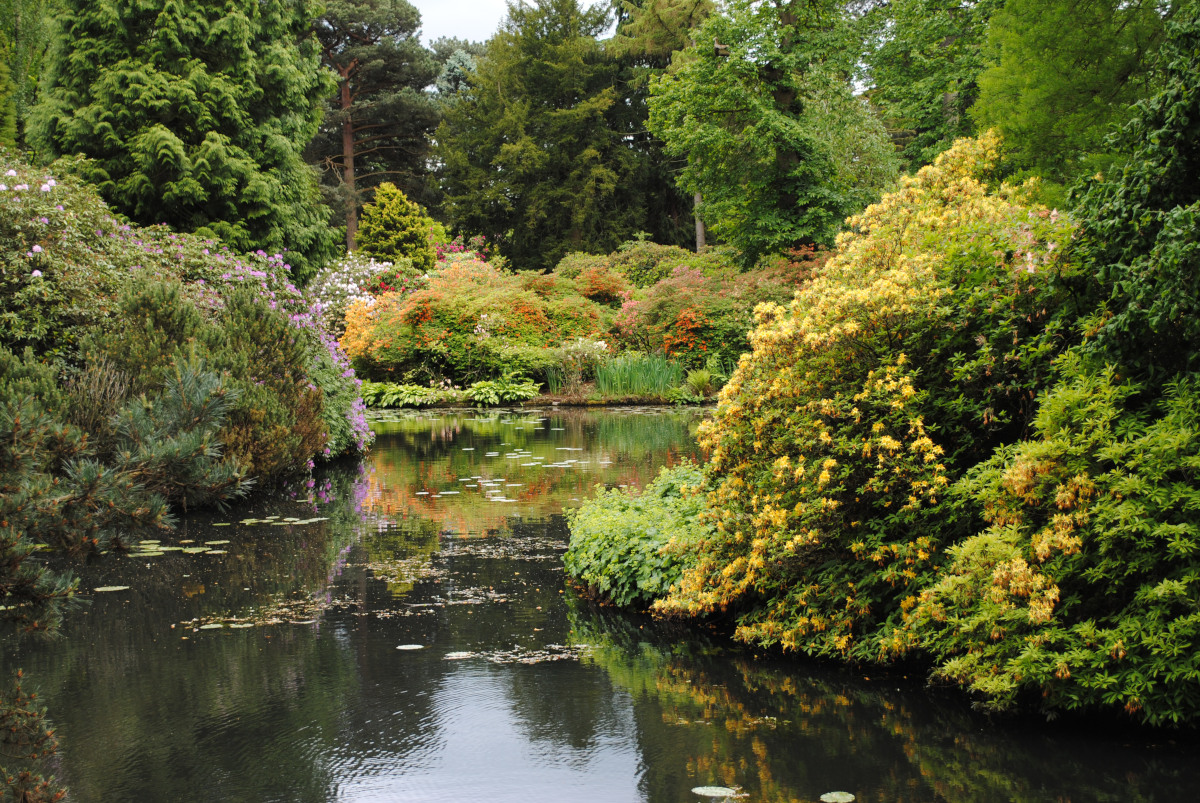 tatton park cheshire golden triangle