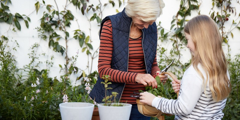 vb1833900 20151028 SDB Carriages Purley 567 HI 800x533